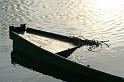 la barca 2